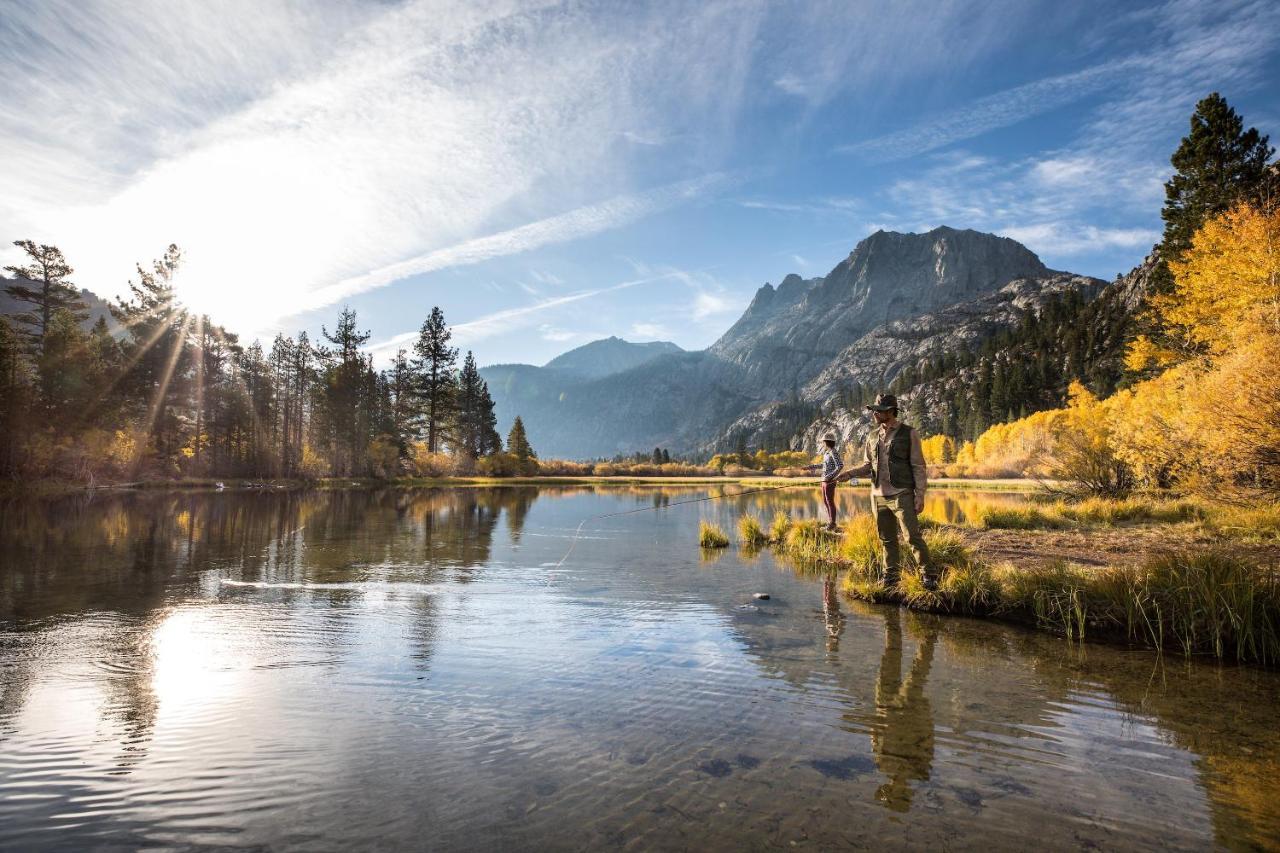 Graystone #2024 * Mammoth Lakes